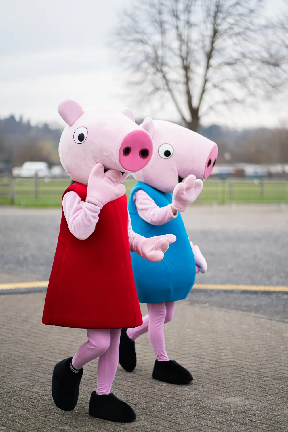 Peppa Pig Kostüm von Maxiland Event